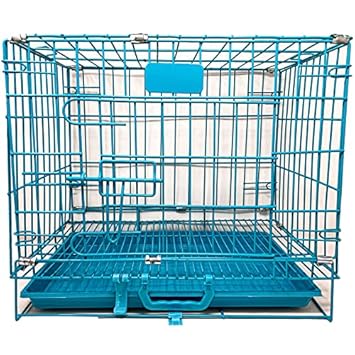 Dog Trust Dog Cage Double Door Heavy Duty Folding Metal Kennel for Small Dogs and Puppies 24 Inch
