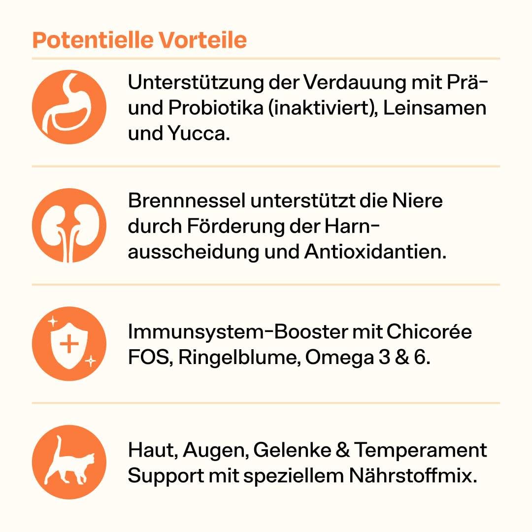 The Better Cat Maxi Probier Pack mit getreidefreiem Nassfutter, Trockenfutter und gefriergetrockneten Snacks mit viel Fleisch, Präbiotika, Probiotika und Superfoods ohne Zucker