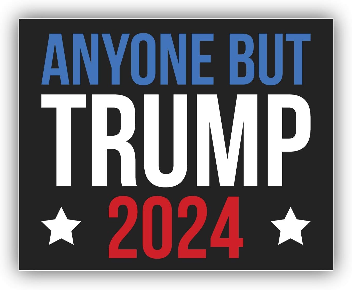 Anyone But Trump 2024 President Election USA Vinyl Sticker Decal