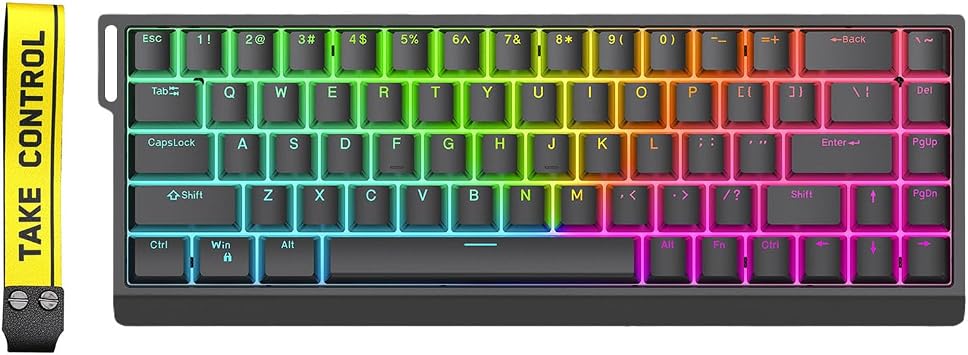 HE65 Rapid Trigger Gaming Keyboard,Magnetic Switch Hall Effect Hyper-Fast Adjustable Actuation RGB HotSwap 8K Hz Polling Rate Gasket-Mounted 65% Compact Wired Mechanical Keyboard Black-HE65