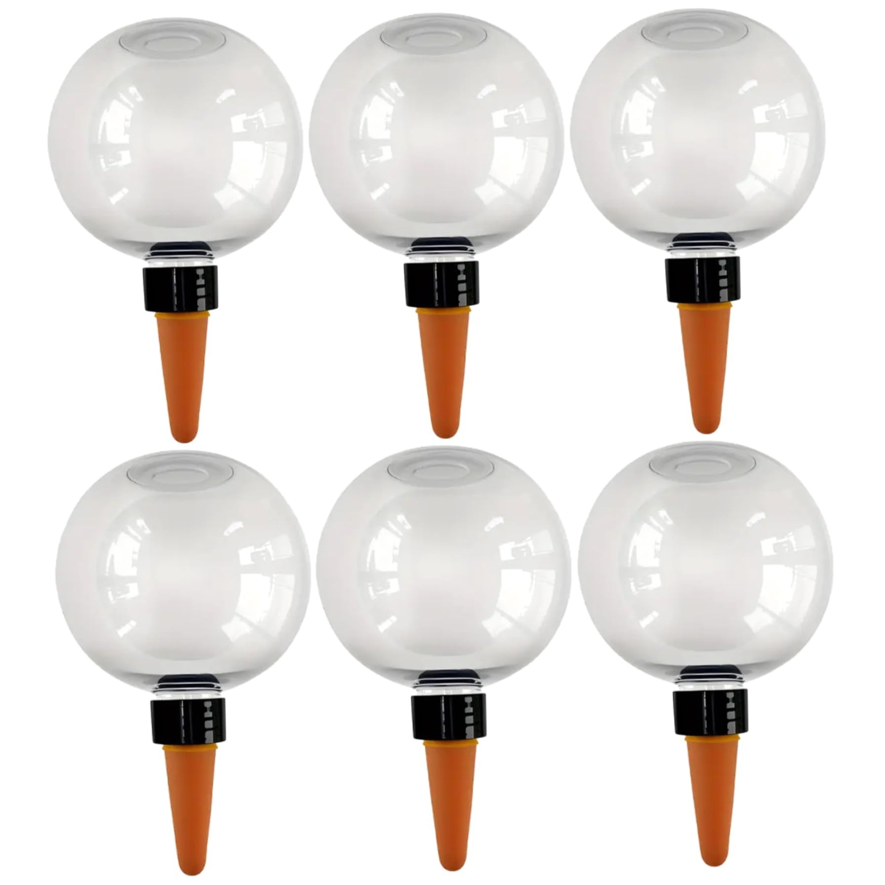 Globes d'arrosage automatique transparents pour hydratation constante