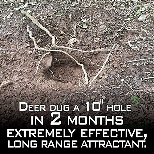 Outdoor Hunting Lab Antler Power Deer Attractants For Whitetail Deer – Deer Mineral Supplement For Deer Food Plot - Mineral & Salt Licks For Whitetail Deer - Deer Feed Buck Attractant Powder (50 Lbs.) #TOP2