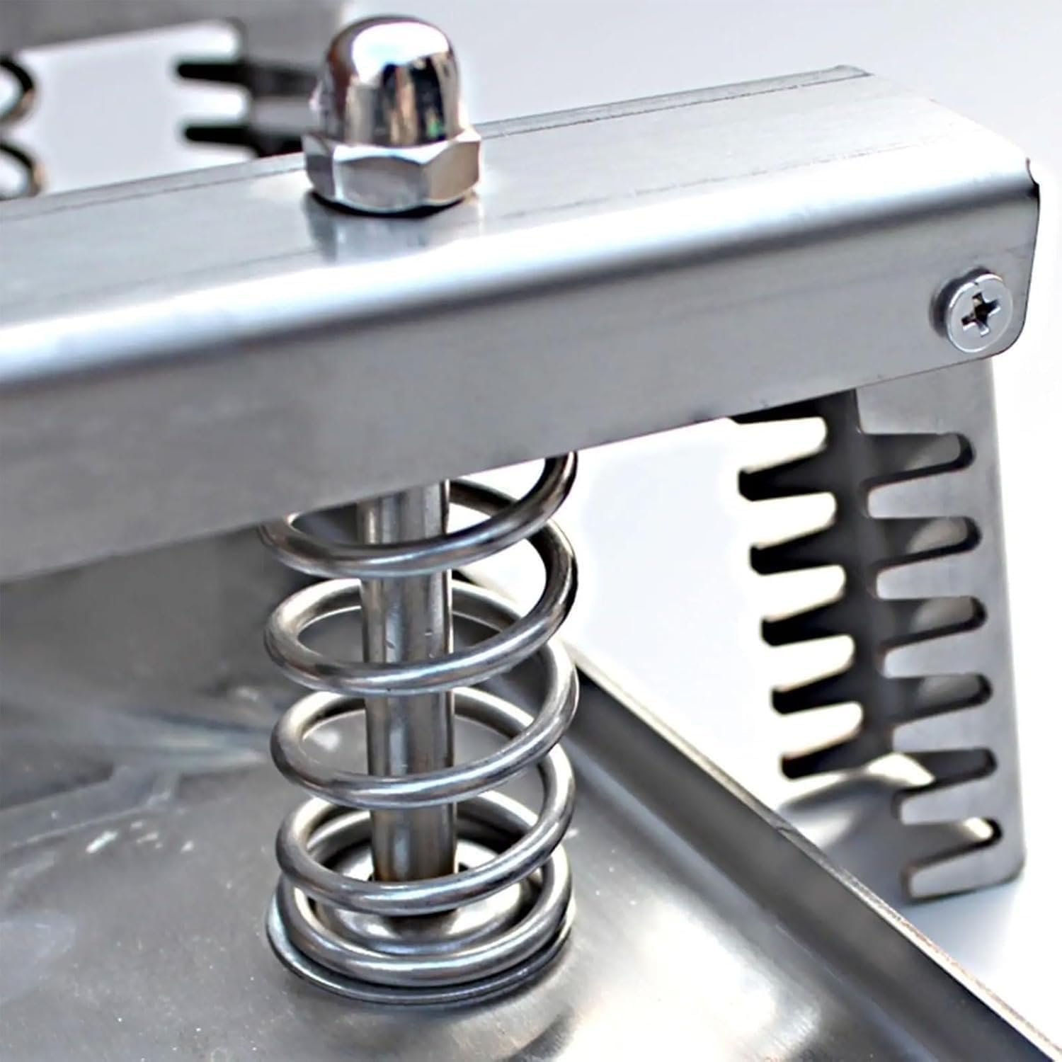 Schinken-Fleisch-Pressform, tragbare Lunch-Fleischpresse aus Edelstahl mit doppelter Kompressionsfeder, ideal for Hausmannskost und hausgemachte Sandwiches(500g)