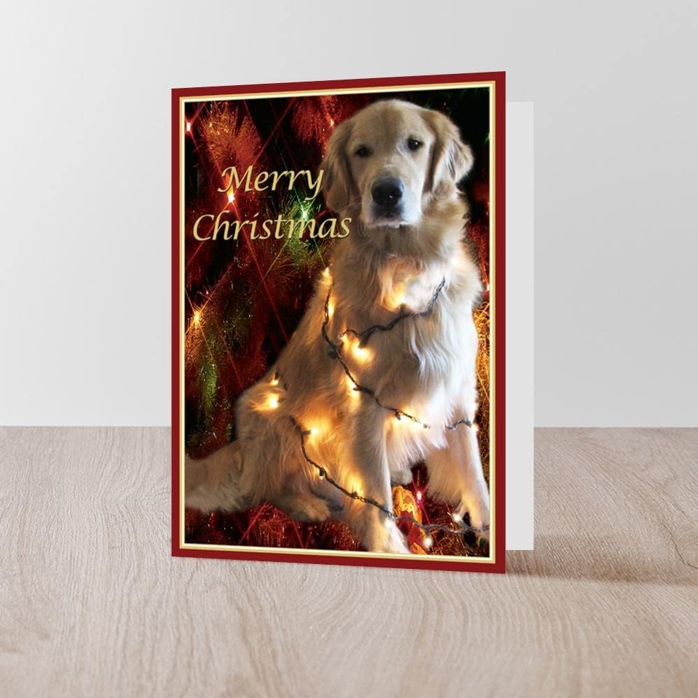 CafePress Golden Retriever Merry Christmas Card Folded Greeting Cards (10-pack) Matte
