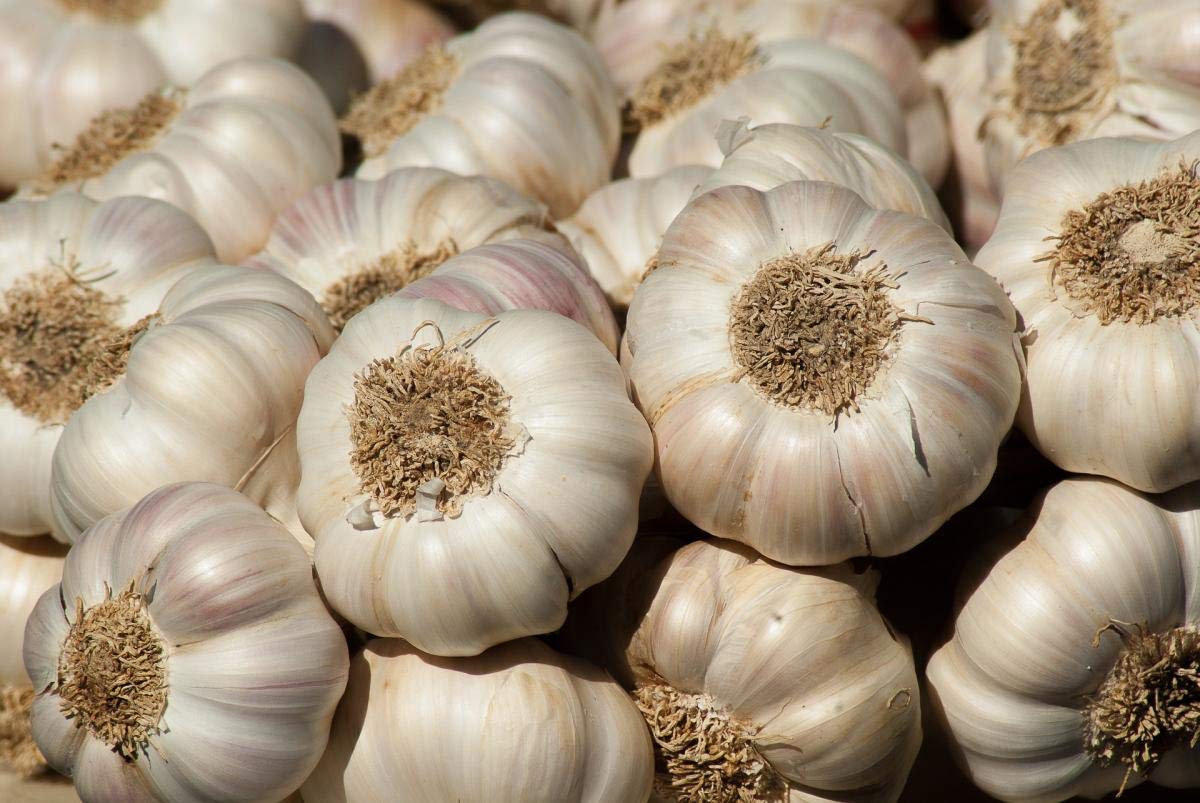 BSD Organics Spice Dried Whole of Garlic lahasun Poondu -50 gram — Amazon image 2