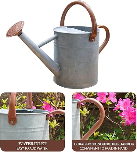 Miniatura 5 de yourjoy Regadera de metal, latas de riego de un galón de acero inoxidable para riego de plantas de jardín interiores y exteriores (zinc de 1 galón)