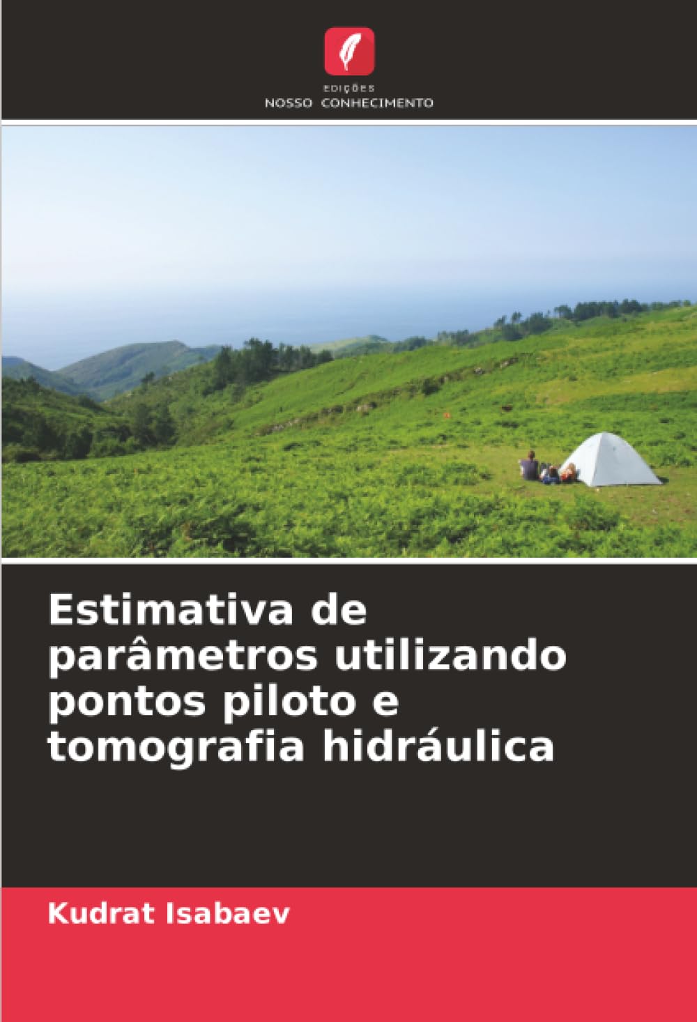 Estimativa de parâmetros utilizando pontos piloto e tomografia hidráulica