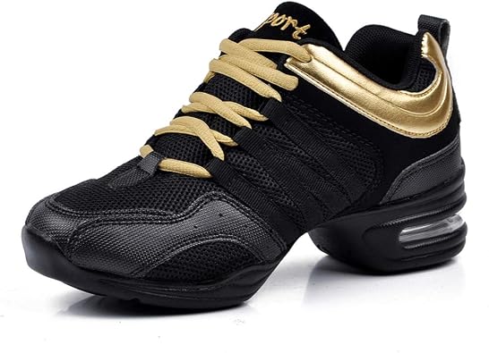 Womens Dance Sneakers Mesh Walking Shoes for Zumba Jazz Work Out Fitness Sports Modern Dance Shoes, Model LYX729
