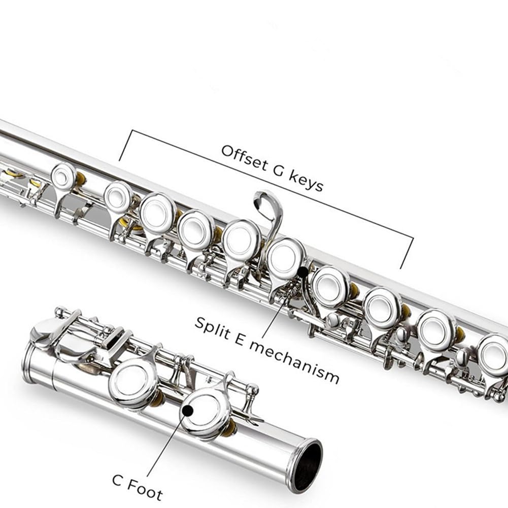 16 Geschlossene Offene Löcher C-Tonart Professionelles Querflöte Konzertmusikinstrument mit Box Reinigungstuch Stockhandschuhe