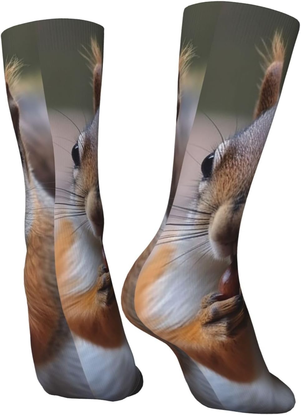 Cute Squirrel Crew Socks for Men Women Moisture Wicking Cushion Athletic Sock Casual Novelty Socks Gift