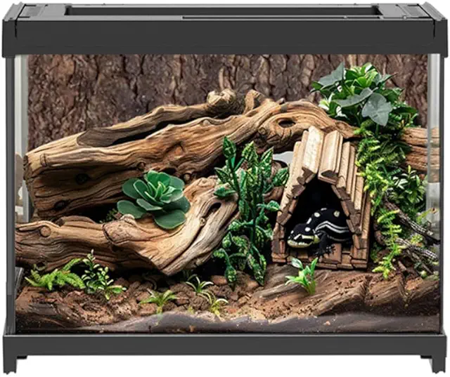 Glass Terrarium for Reptile Feeding & Plant Decor, 20x20x17cm