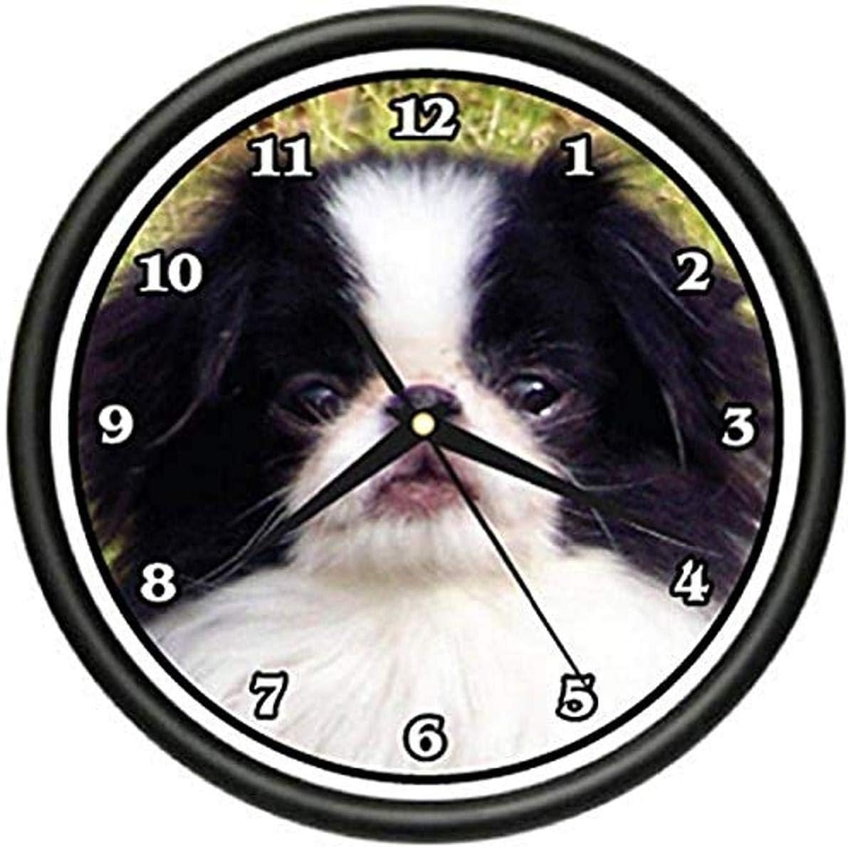 SignMission Japanese Chin Wall Clock Dog Doggie pet Breed Gift