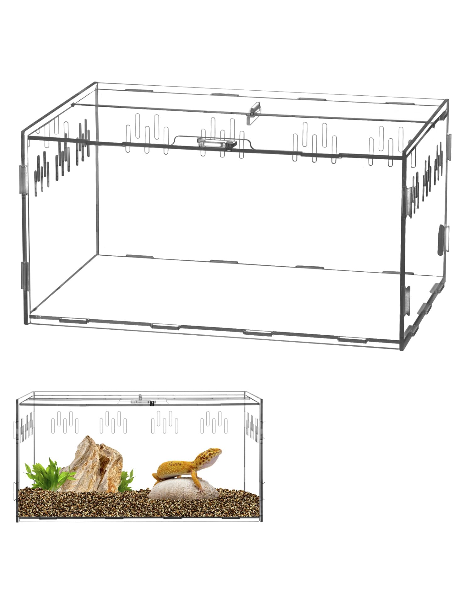 QWORK® Terrarium Acrylique  boîte d'alimentation d'insectes  30x20x15cm pour mante Religieuse  araignées  lézards  escargots