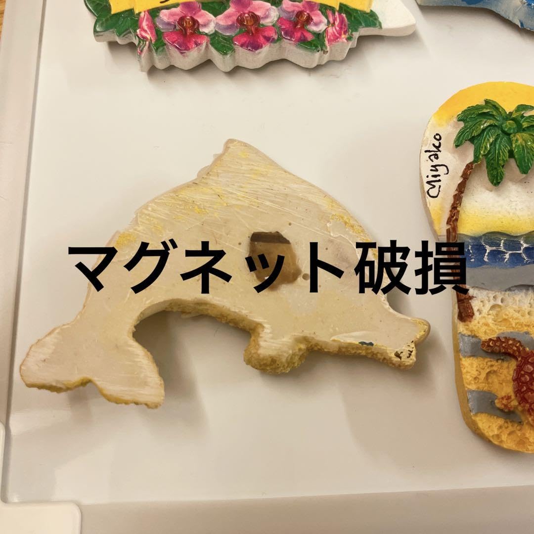 Amazon.co.jp: 海外 お土産 ご当地 マグネット シンガポール