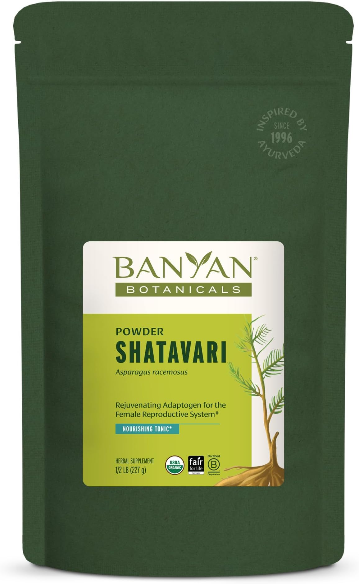 Banyan Botanicals Organic Shatavari Powder – Rejuvenating Tonic for Feminine Vitality & Resilience – Cooling Adaptogen for Internal Hydration & Systemic Nourishment – 1/2 lb – USDA Organic