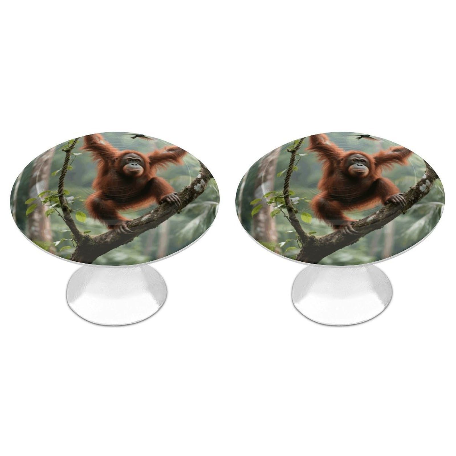 Rldobofe White 2 Pack Cabinet Knobs Round Drawer Pulls Swinging Orangutan Dresser Knob Cupboard Door Handles Hardware For Kitchen Bathroom Cabinets