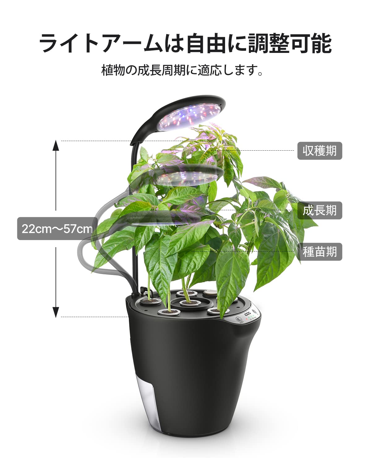 Amazon.co.jp: iDOO 水耕栽培キット 水耕栽培セット 育苗器 室内 水耕