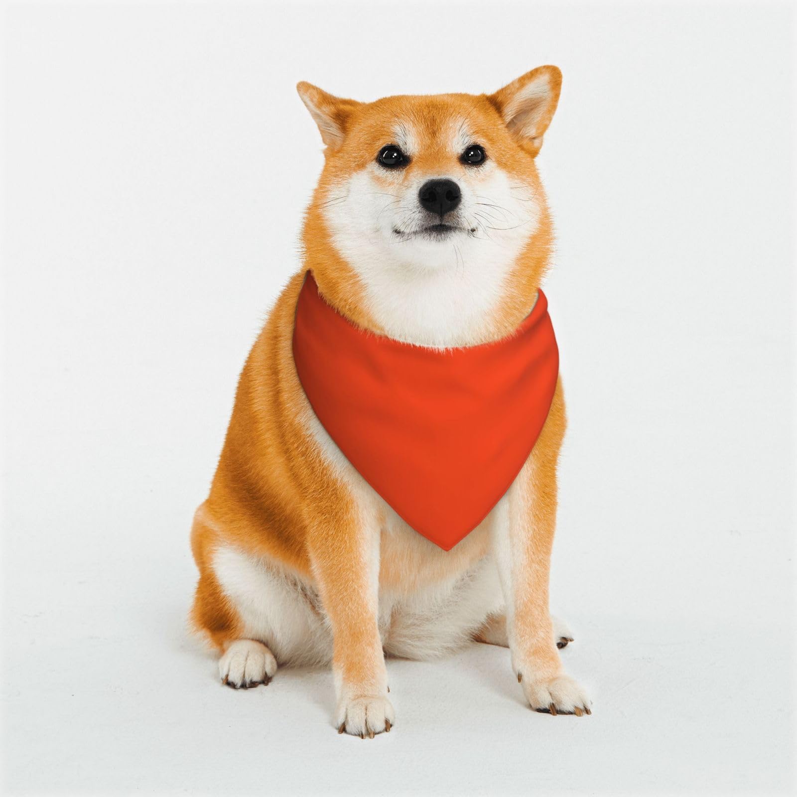 Orange Dog Bandanas,Triangle Reversible Pet Scarf for Boy and Girl,Bandana for Small Medium Large and Extra Large Dogs Large