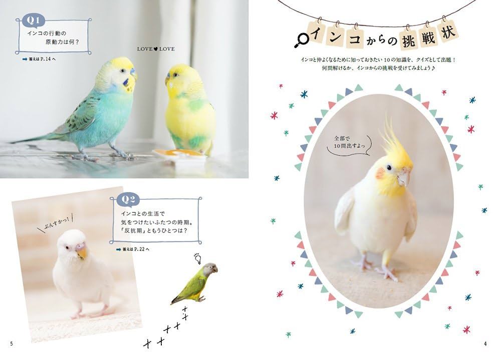 インコに関する専門書です！ インコに関する専門書です！ （インコの謎(細川博昭 著