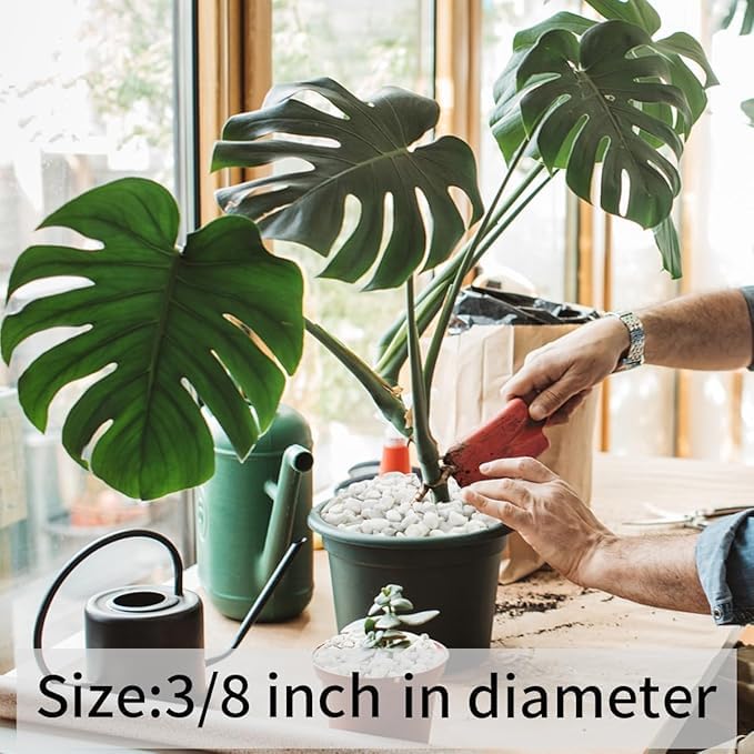 Image of BKD White Pebble Decorative Stones Marble Chips [3 Kg] for Aquarium Garden Indoor & Outdoor Decoration Pebble Stone White