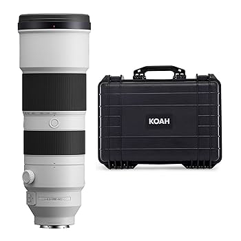 Amazon.com : Sony FE 200-600mm f/5.6-6.3 G OSS Super