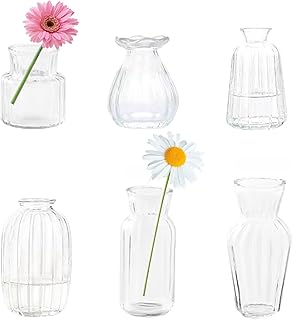 Sponsored You’re seeing this ad based on the product’s relevance to your search query.Learn more about this advertisement Small Glass Clear Vertical Stripes Vase Bud Vases in Bulk EylKoi Set of 6 Different Shapes Vintage Mini Tiny Flower Vases Modern Cute for Home Table Wedding Decor Centrepieces Party Dining Room
