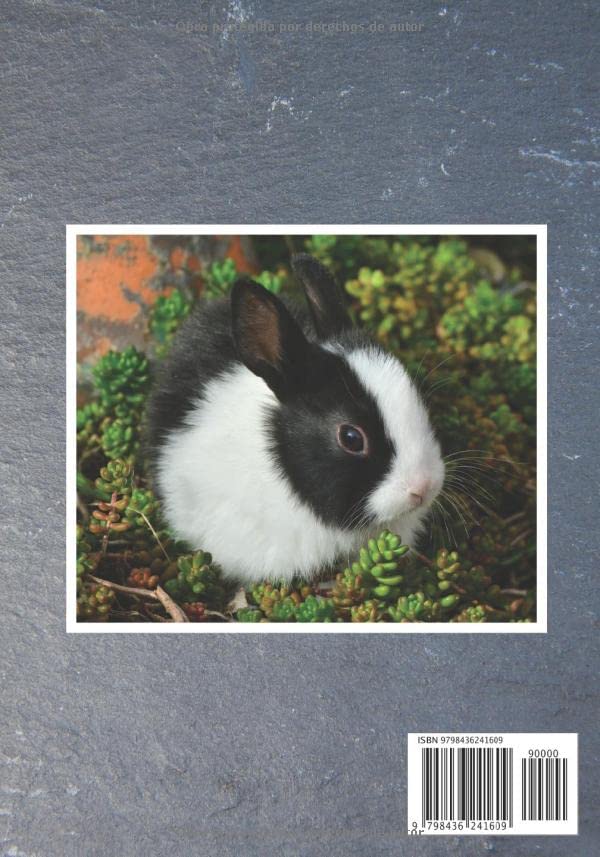 Miniatura 2 de Conejo libro de salud Seguimiento diario de mi conejo Seguimiento de comportamiento, alimentación, veterinario, médico Ideal propietario y niño