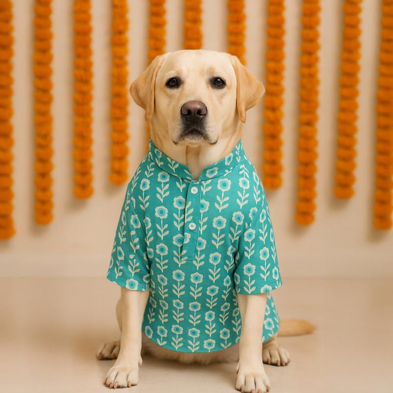 Image of Thunder Tails Soft Cotton Dog Kurta for Small Dogs & Puppies | Comfortable Stylish Outfit for Shitzu, & French Bulldog | Pet Apparel for Casual, Party (Teal, X-Large)