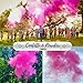 Gender Reveal Confetti Powder Cannon - 4 Pink Poppers - Gender Reveal Party Supplies - Smoke Powder & Confetti Cannons - Reveal Stickers 40pcs (20 Girl 20 Boy)