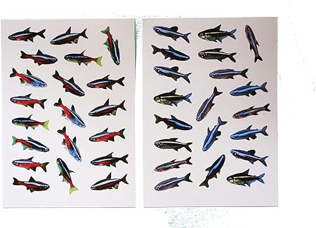 Amazon 透明シール ネオンテトラ シール ステッカー おもちゃ