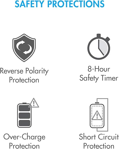 Miniatura 6 de Tenergy TN294 - Cargador de batería de iones de litio de 4 bahías y 9 V + 4 baterías recargables de iones de litio de 9 V y 600 mAh