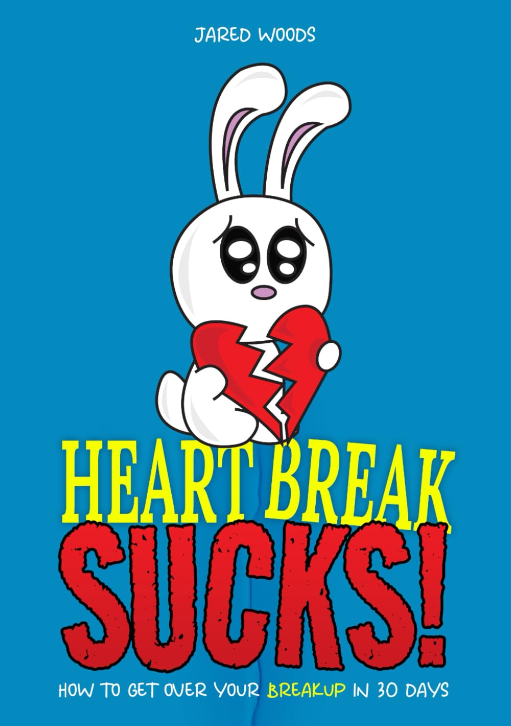 Heartbreak Sucks! How to Get Over Your Breakup in 30 Days