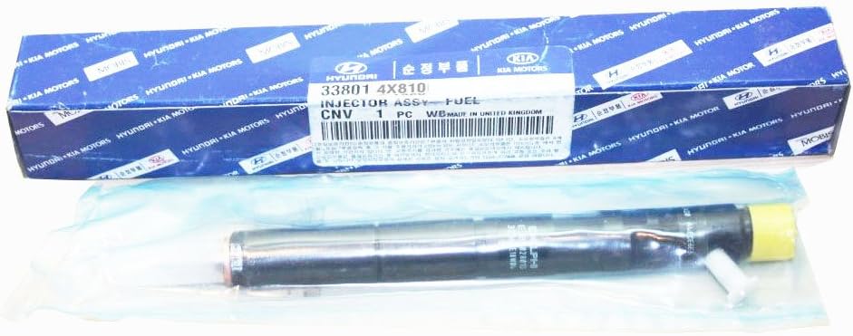 Diesel Fuel Crdi Injector 33800-4X800 338014X810 EJBR02901D for Hyundai Terracan KIA Carnival II 2.9 CRDi