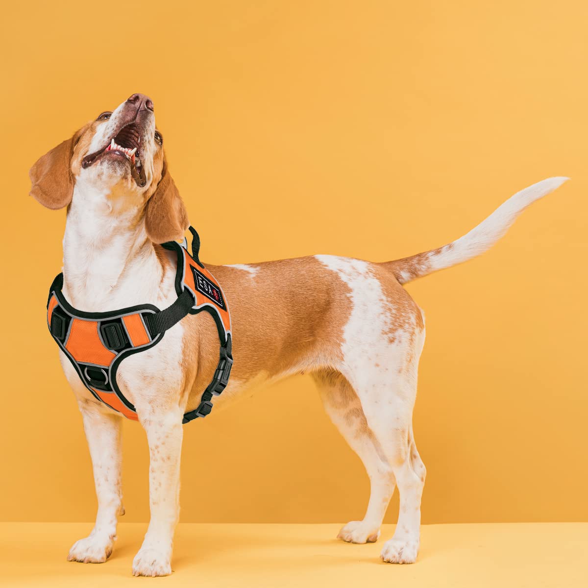 Dogline Quest Pettorina per cani antitiro, in gomma 3D, con toppe rimovibili ESA, riflettente, morbida, confortevole, con sgancio rapido, doppia fibbia, ferramenta nera e manico da 32 a 101,6 cm,