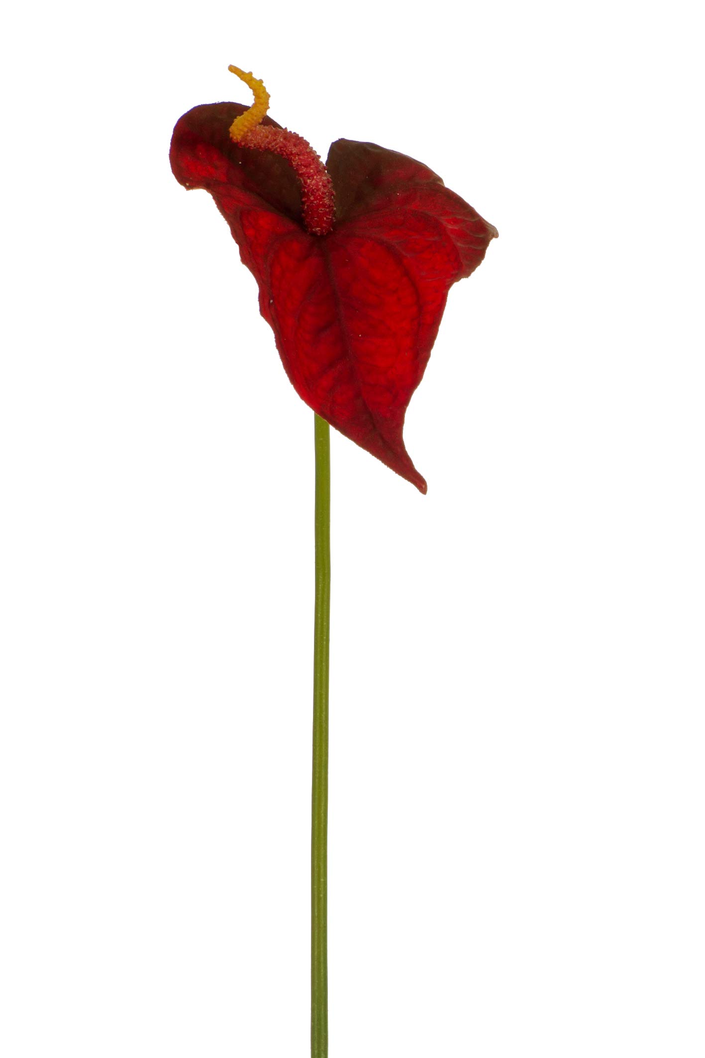 Express Flor Artificial Flowers, Plastic Metal, red, 74cm