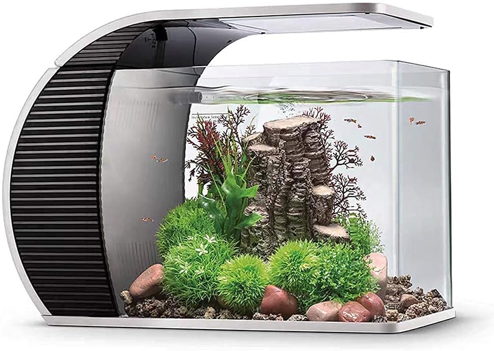 hygger Small Aquarium 19 Litres, Fish Tank with 3.2 W LED Light, 5 W Water Pump, Hidden Filtration Box, Duck Mouth Outlet, Glass Cover