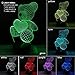 3D Night Light Teddy Bear 3D Lamp Optical Illusion Nightlights Touch Switch Bedside Lamp 7 Colors Changing LED Lamps Perfect Birthday Gifts for Girls Kids Children Boys Adults Women (N01 Bear)