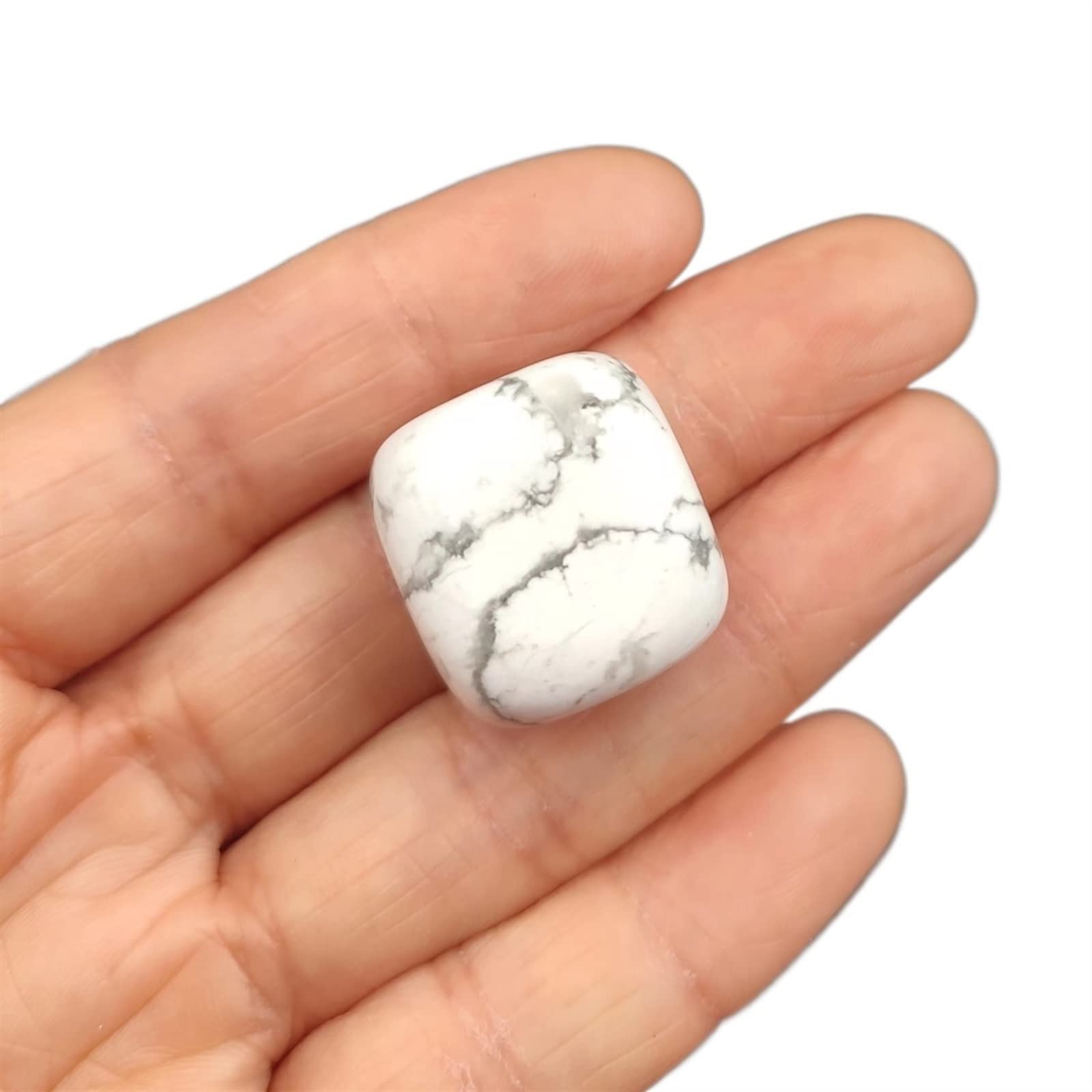 1pc Howlite Naturale Tumbled Stones Cristallo di Quarzo Pesce Vaso di Fiori Paesaggio Decorazione Pietra preziosa Ornamento for la casa Cristallo Collezioni di casa