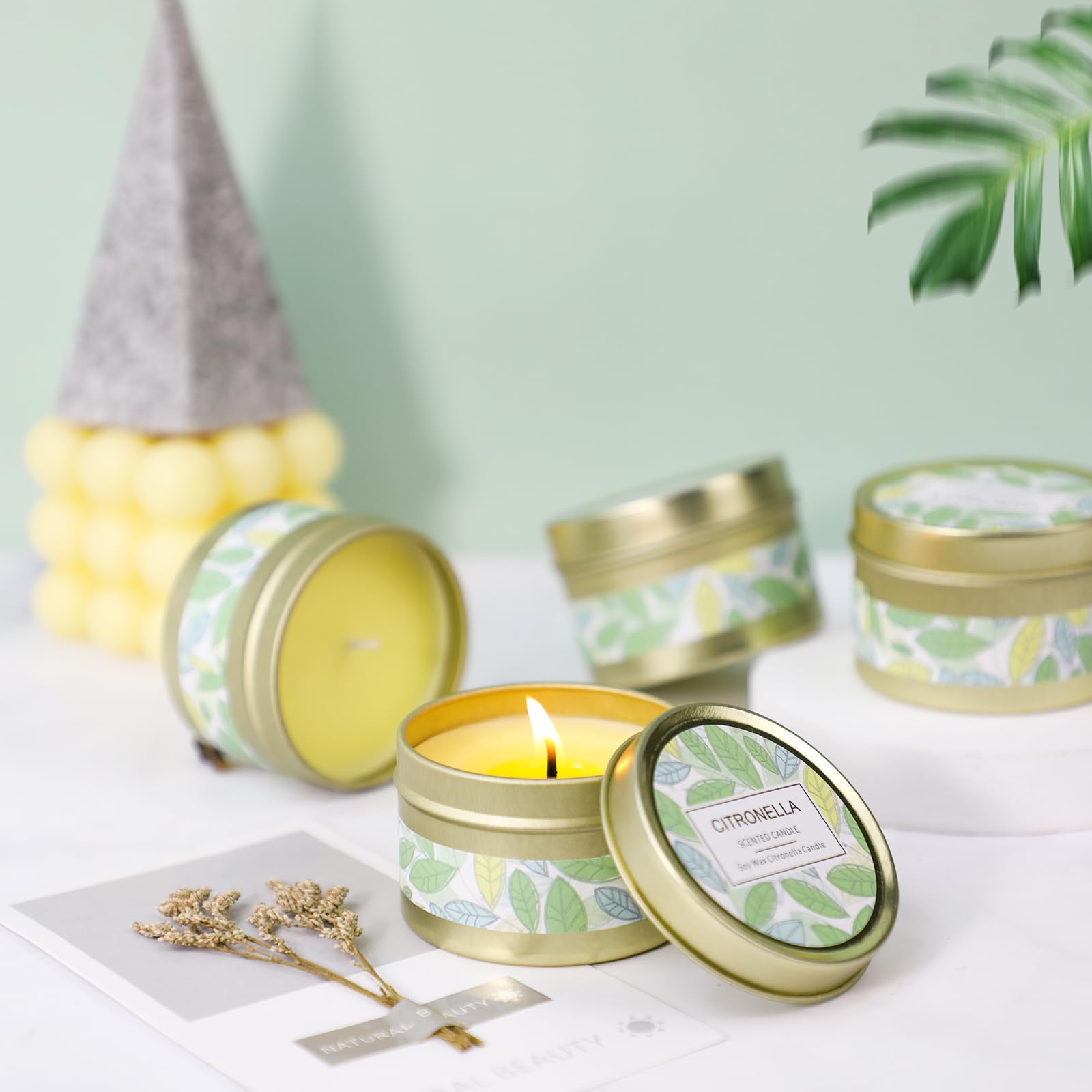 Candele alla Citronella, 100% Cera di Soia Naturale, Candela Citronella Set Esterno ed Interno per Giardino, Balcone, Campeggio, 6 Candele