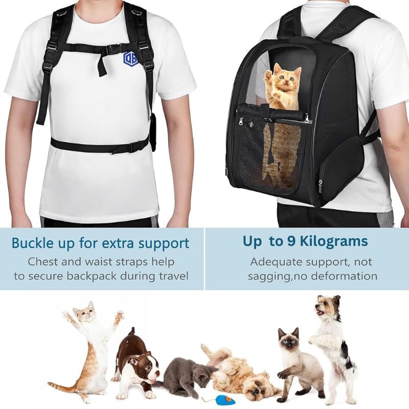 Image of Pet Carrier Airline Approved, Pet Carriers for Medium Small Cats and Dogs, Pet Carrier for Cat, Dogs, Puppy Carrier (Black Travel)