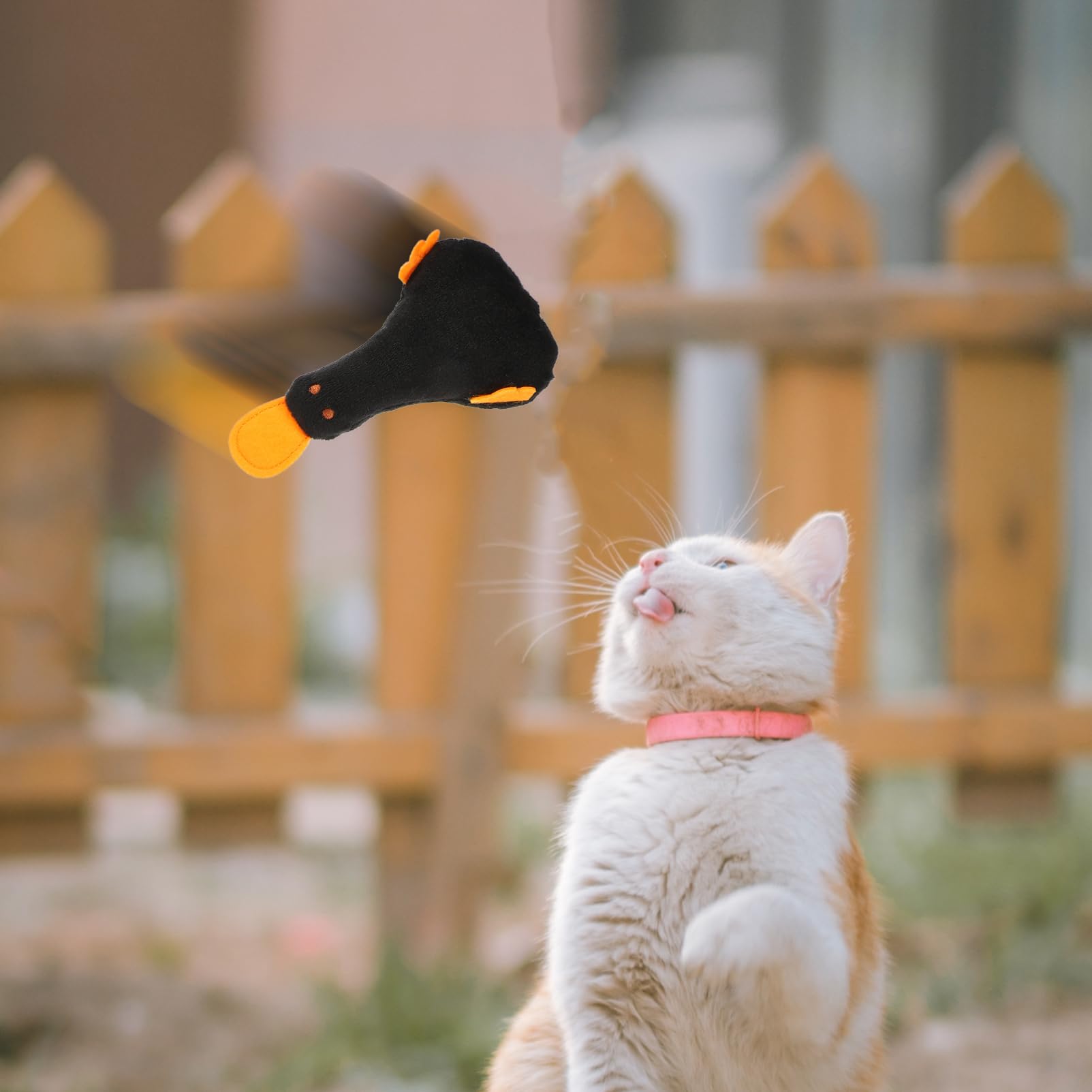 Toddmomy 20pièces Jouets à Mordre pour Chats Jouets Peluche avec Herbe à Chat Accessoires Ludiques De Couleurs
