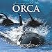 2016 Orcas Wall Calendar