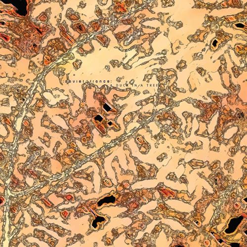 A Duck in a Tree 2026-04-11 | Nowhere Manifest