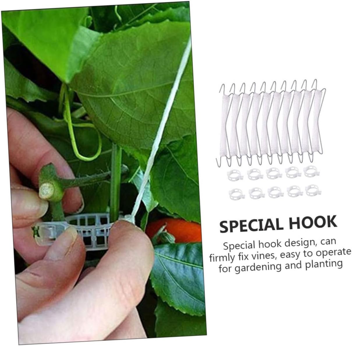 BESPORTBLE 2sets Tomato Support Stakes Hooks Vine Support Cages for Tomato Plant Trellis Greenhouse Vegetable Garden Clips