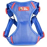 The Dodo Blue Dog Harness - Small; Easy Step-in Harness for Dogs; Breathable Mesh Fabric; Snap-Together, Pinch Release Buckle, Ring for Leash Attachment; Everyday Pet Apparel