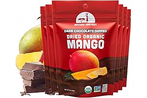 Organic Chocolate Covered Mangos