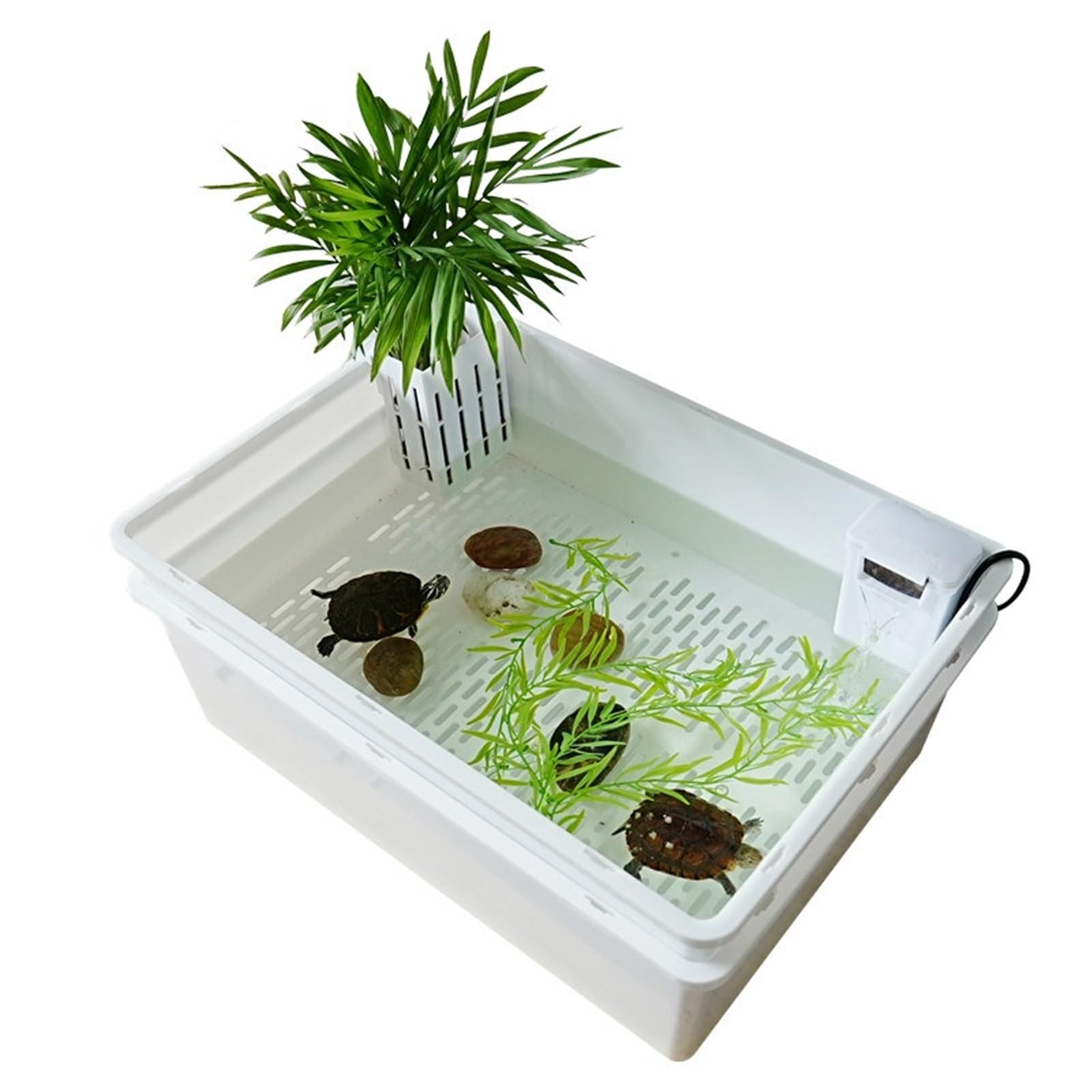 Siedlisko terrarium Zbiornik ekologiczny Turtle Dwuwarstwowy zbiornik toaletowy typu żółw z wydzielonym przeznaczeniem do użytku domowego Terrarium akwariowe(Duży)
