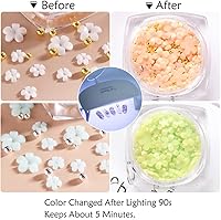 Vista 5 de Abalorios de uñas de flores 3D, 6 cajas de diamantes de imitación de flores 3D para uñas acrílicas, flor de cerezo, suministros de arte de uñas