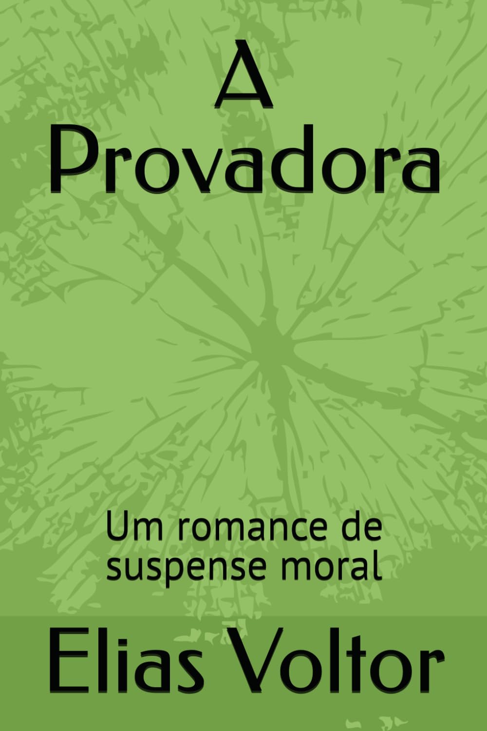 A Provadora: Um romance de suspense moral
