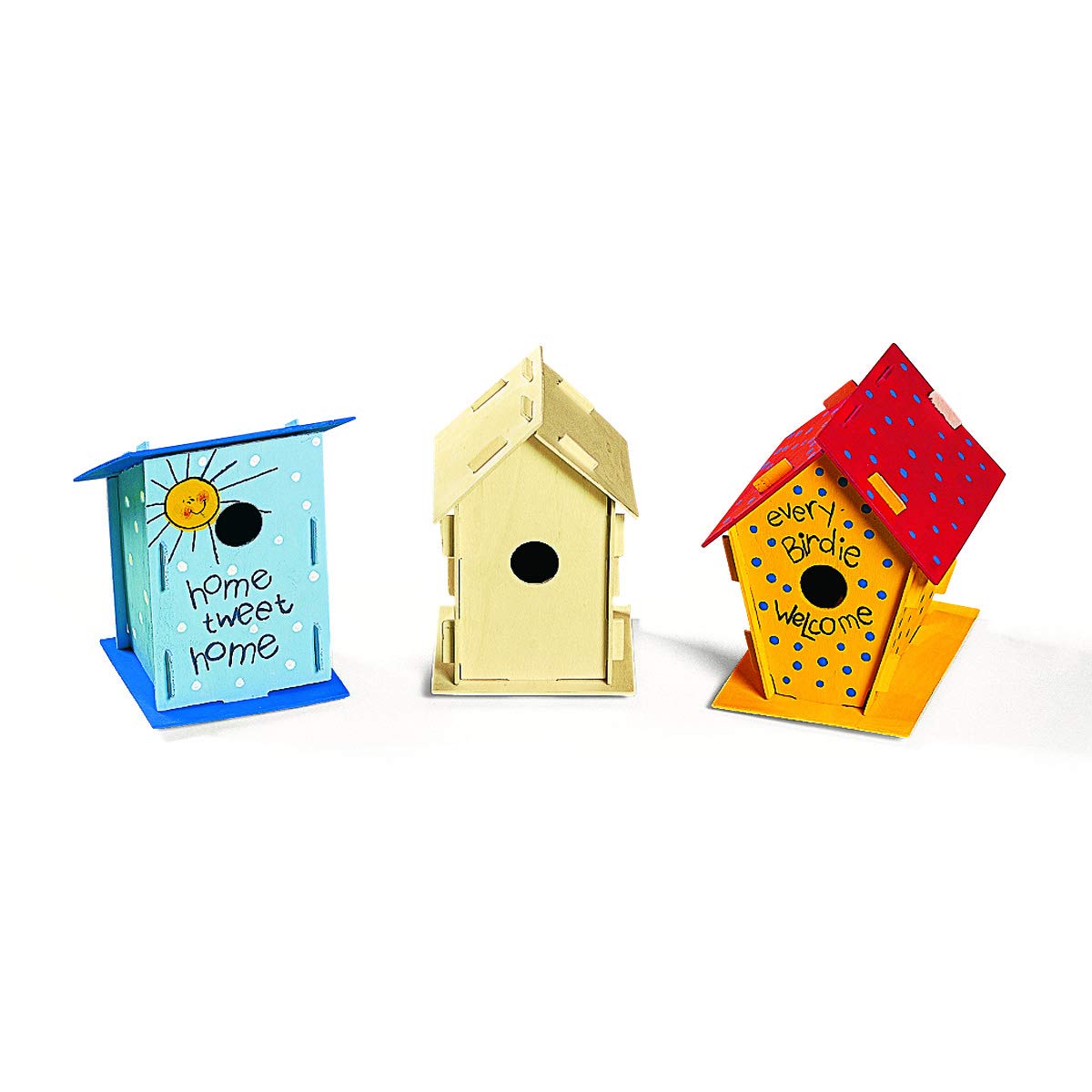 DIY Wood Birdhouse Kits for Kids to Build (Bulk Set of 12) DIY Bird